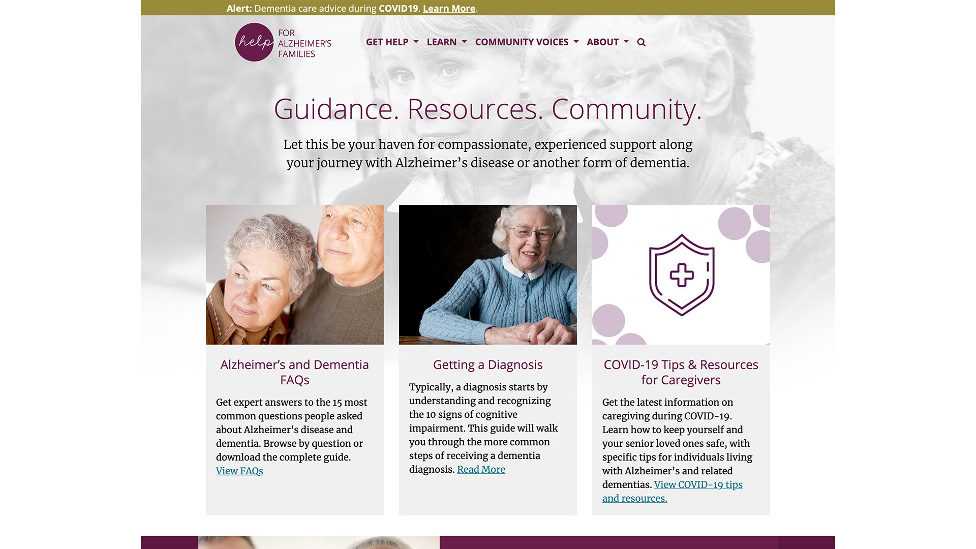 Help for Alzheimers detail 1