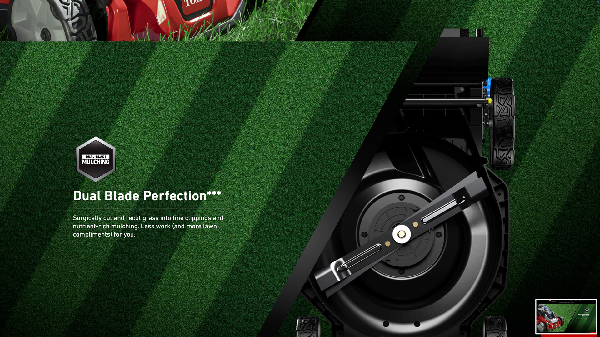 Toro Stripe detail 3