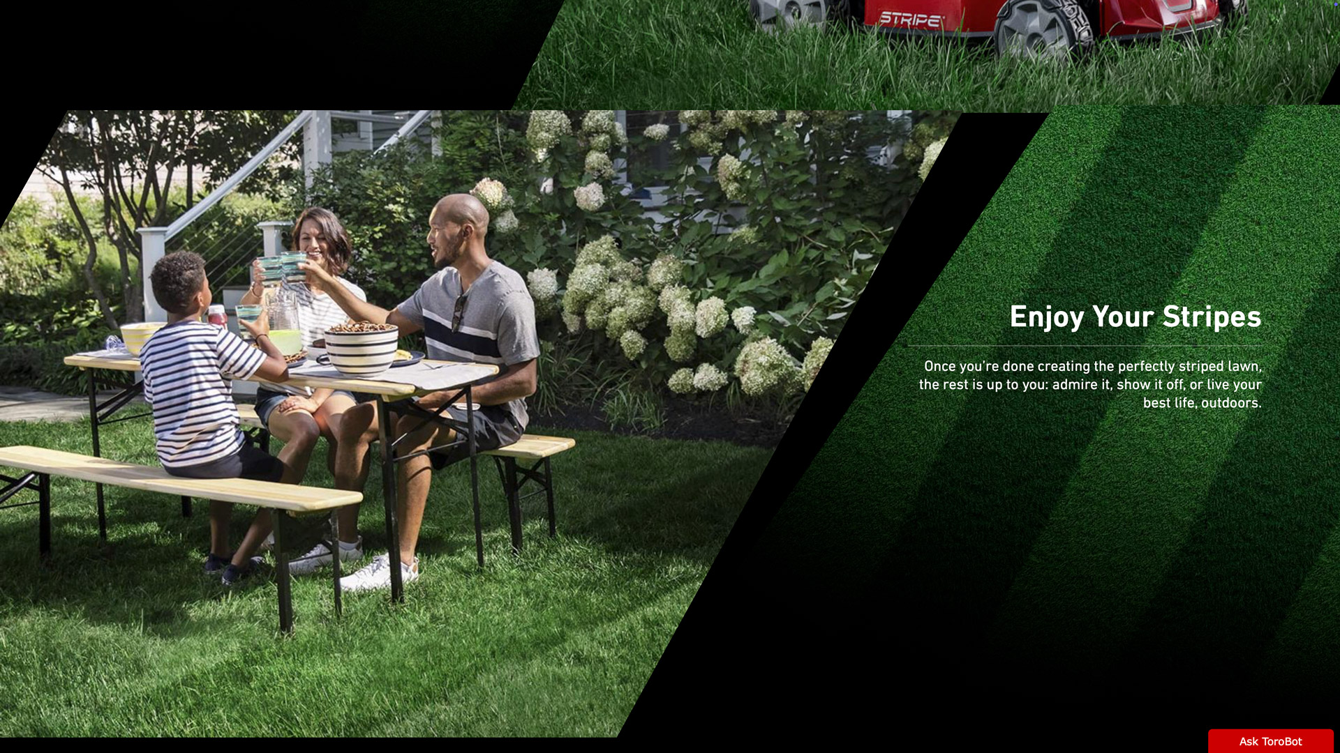 Toro Stripe detail 6