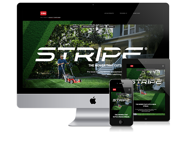 Toro Flexforce Stripe landing page